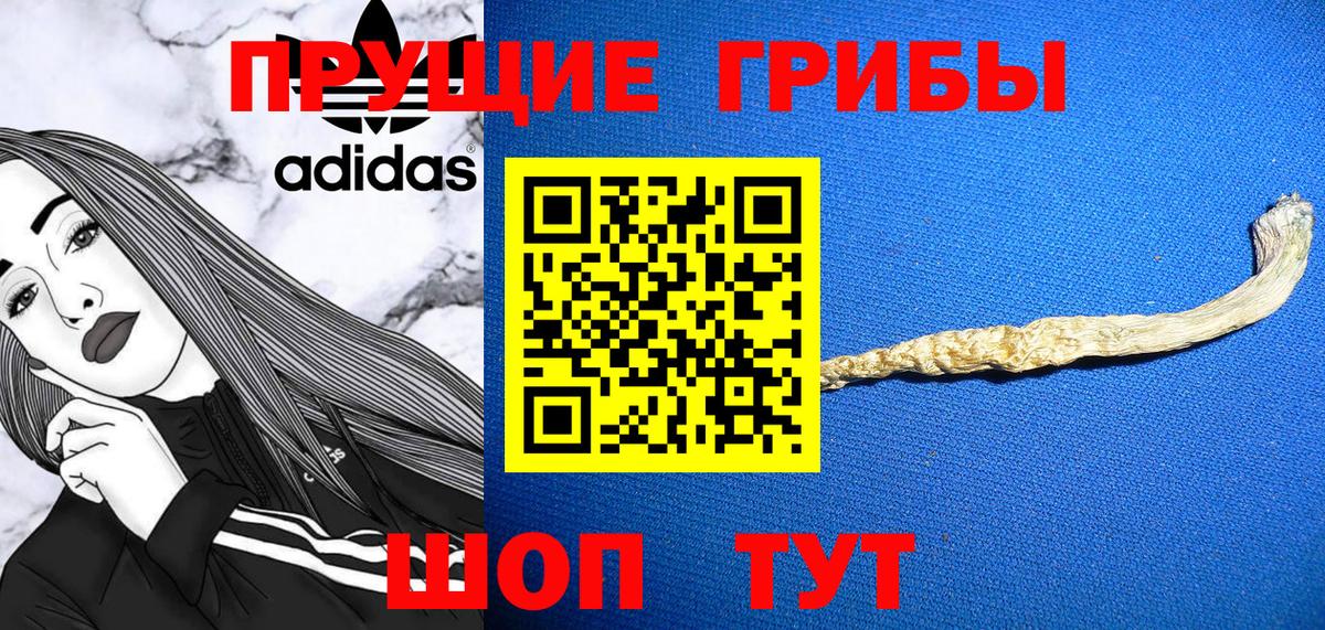Скопин  Галлюциногенные грибы MAGIC MUSHROOMS  Вход с VPN  Псилоцибиновые грибы Psilocybine cubensis 
