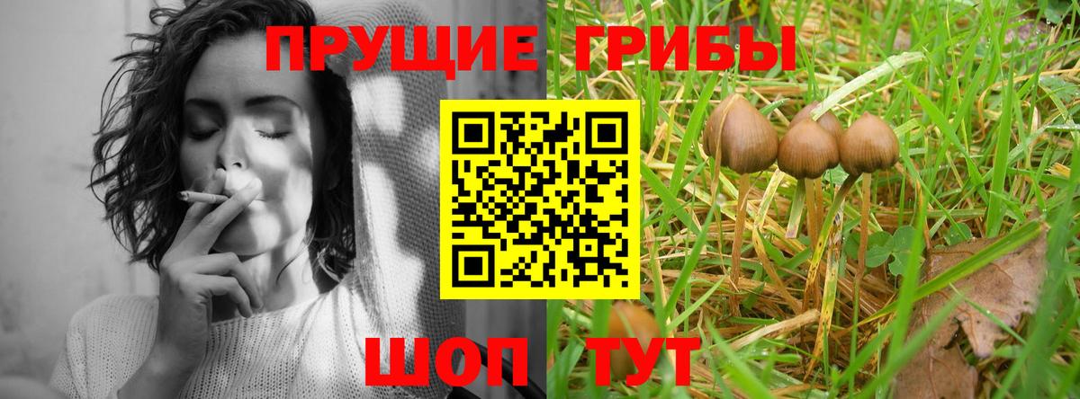 Псилоцибиновые грибы Psilocybine cubensis Скопин